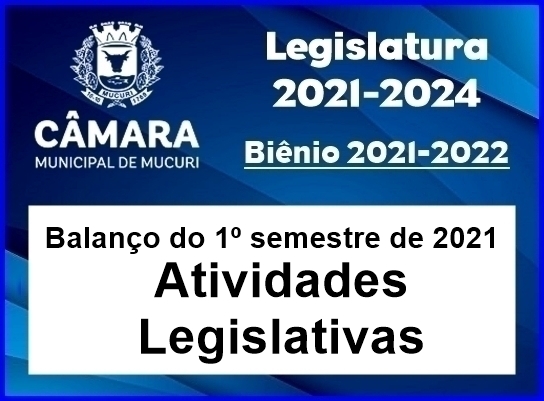 CÂMARA FECHOU 1º SEMESTRE DE 2021 COM 185 PROPOSIÇÕES APROVADAS